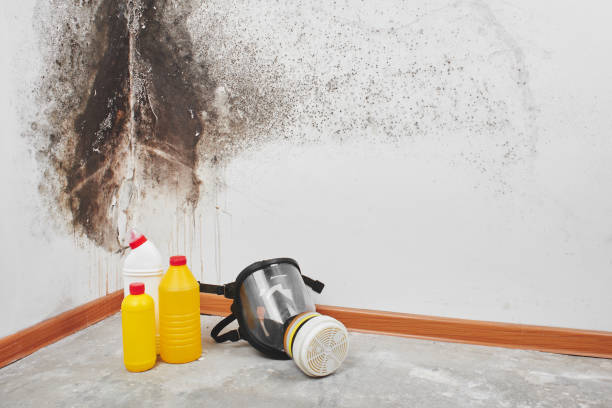Water Damage Restoration in Dale, IN